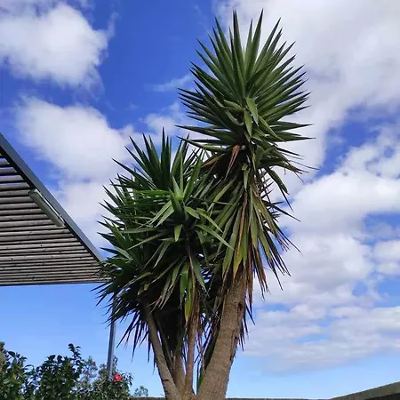 Casas Do Forneiro A Casa - 2 Pessoas Dom wakacyjny Nordeste (Azores)